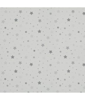 Little Star Silver