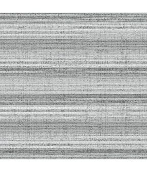 Shine Silver