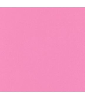 Polaris Bubblegum BO