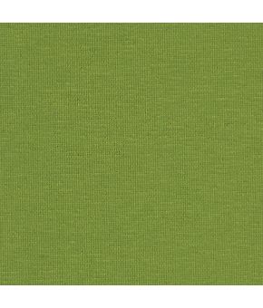Polaris Olive BO