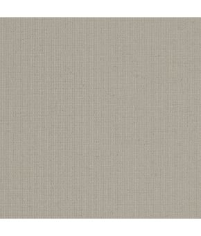 Polaris Taupe BO